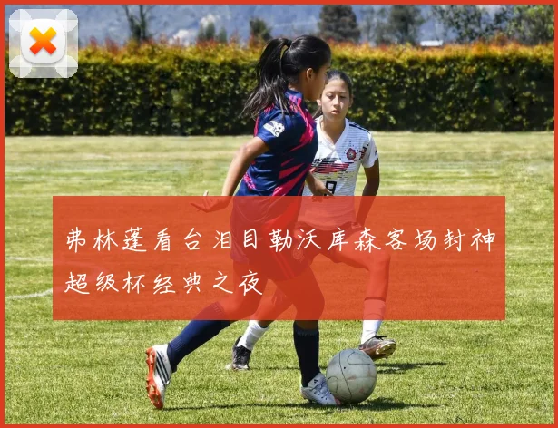 弗林蓬看台泪目勒沃库森客场封神超级杯经典之夜