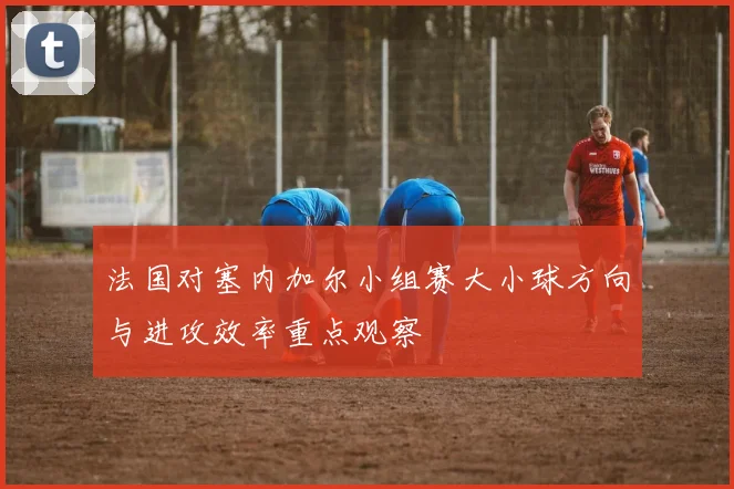 法国对塞内加尔小组赛大小球方向与进攻效率重点观察