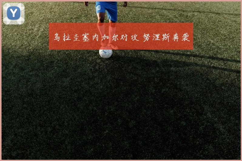 乌拉圭塞内加尔对攻 努涅斯奔袭