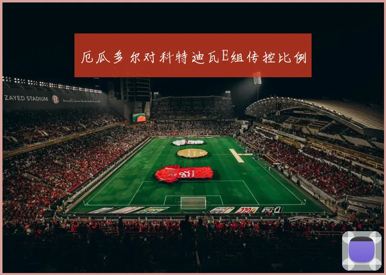 厄瓜多尔对科特迪瓦E组传控比例