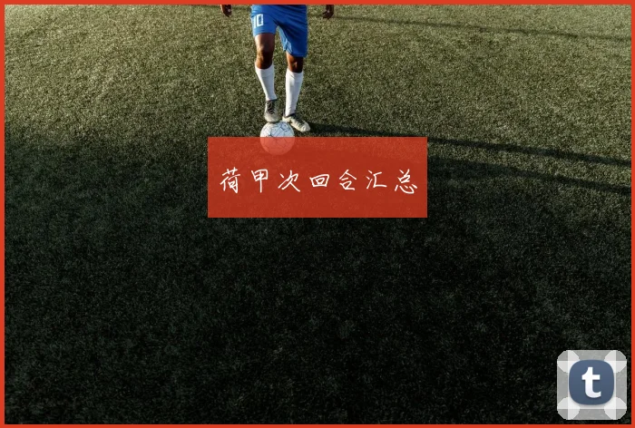 荷甲次回合汇总