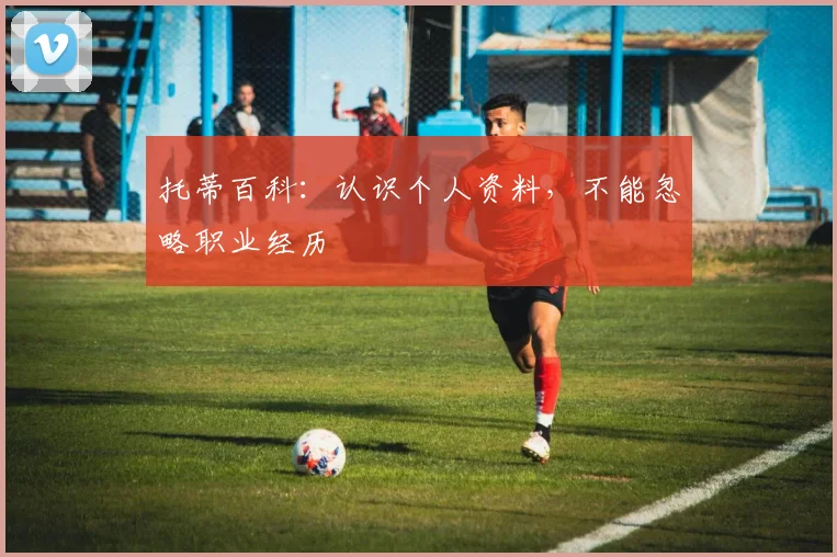 托蒂百科：认识个人资料，不能忽略职业经历