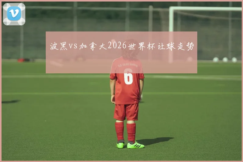 波黑vs加拿大2026世界杯让球走势