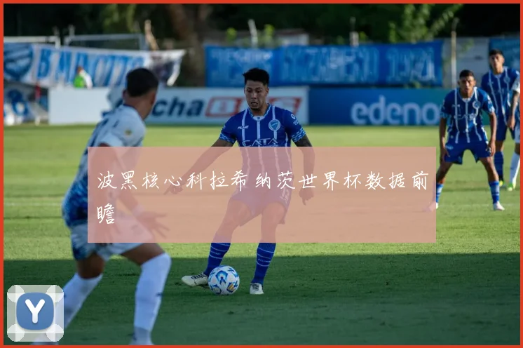波黑核心科拉希纳茨世界杯数据前瞻