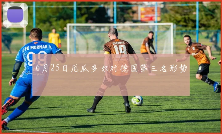 6月25日厄瓜多尔对德国第三名形势