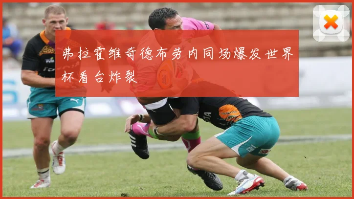 弗拉霍维奇德布劳内同场爆发世界杯看台炸裂