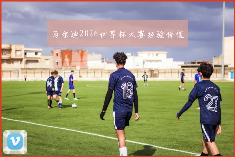 马尔迪2026世界杯大赛经验价值
