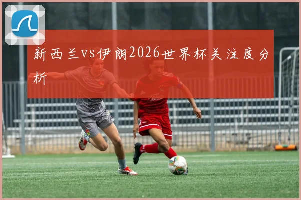 新西兰vs伊朗2026世界杯关注度分析