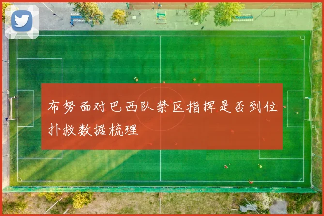 布努面对巴西队禁区指挥是否到位扑救数据梳理