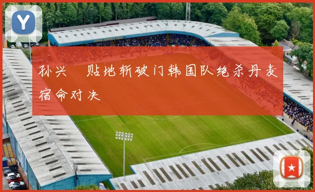 孙兴慜贴地斩破门韩国队绝杀丹麦宿命对决